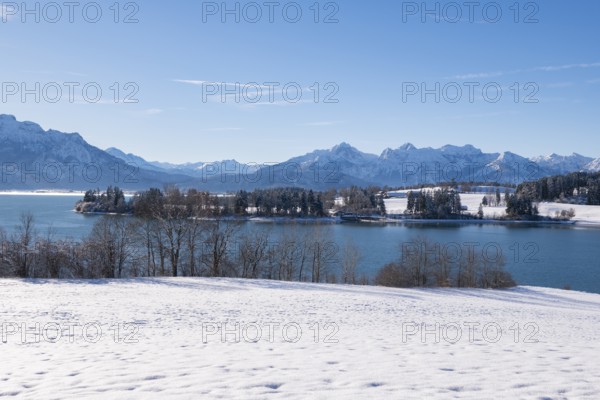 Snowy shore with a view of a quiet lake and mountains under a clear sky, Forggensee near