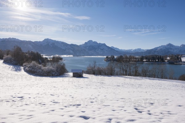 Clear winter panorama with snow, mountains and a calm lake under a blue sky, Forggensee near