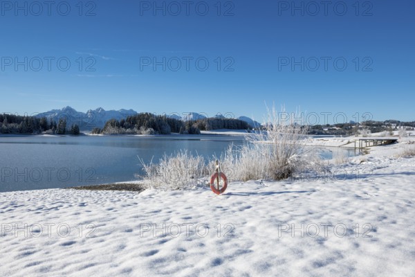 Snowy lake with a clear view of distant mountains, Forggensee near Roßhaupten, Ostallgäu, Allgäu,