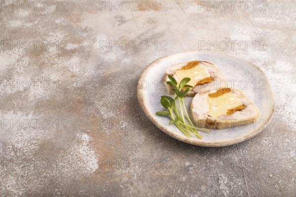 Chicken, egg and dried apricot meatloaf, microgreen on brown concrete background. side view, copy