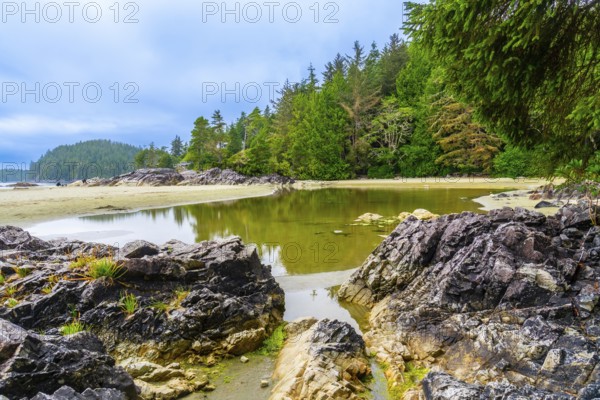 Calm green water reflecting trees and sky at mackenzie beach in tofino, a district municipality on