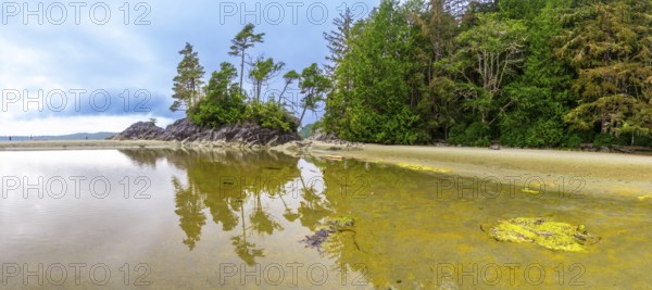 Tranquil ocean waters reflecting trees and sky create a serene beach scene in tofino, showcasing