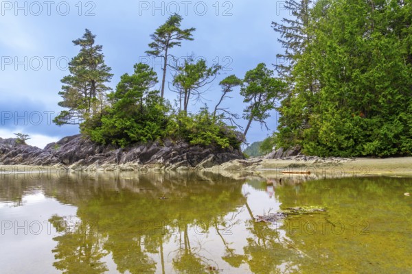 Serene coastal landscape showcasing a small rocky islet adorned with lush green vegetation, its