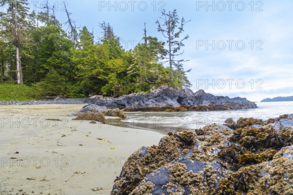 Ocean waves washing ashore on a sandy beach in tofino, british columbia, with rocky outcrops,
