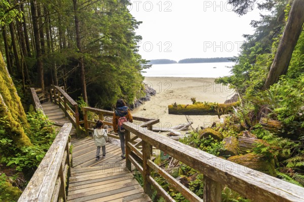 Tourists walking down wooden stairs leading to a beautiful sandy beach surrounded by lush