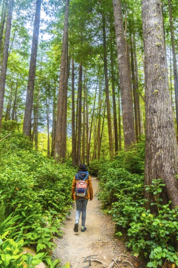 Female tourist with backpack enjoying a peaceful walk in a lush rainforest trail near tofino,