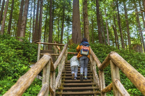 Mother and child are enjoying a leisurely hike, ascending a wooden staircase amidst the tranquil