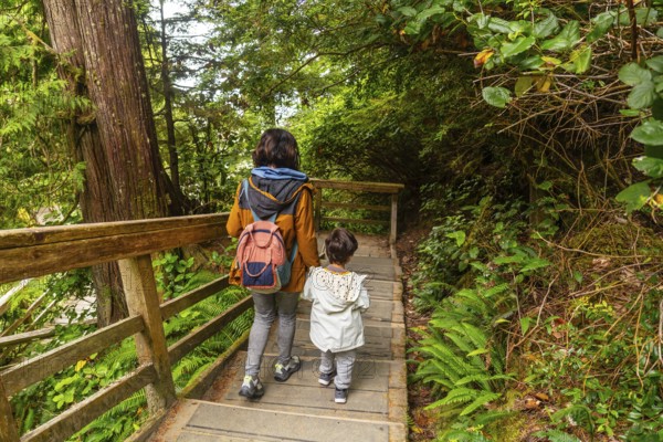Mother and son walking up wooden steps in lush rainforest trail, enjoying nature and fresh air in