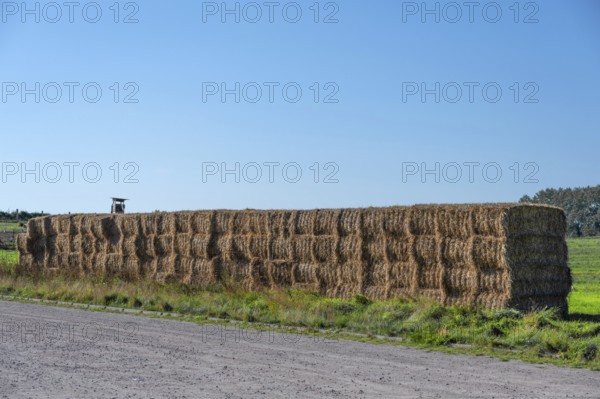 Stacked straw bales at the edge of the meadow, Ahrenshoop, Darß, Mecklenbnurg-Western Pomerania,