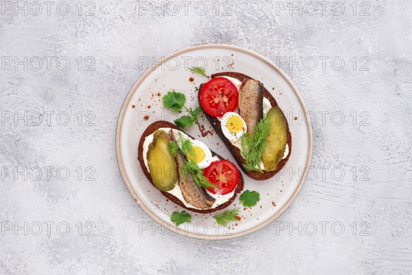 Sandwiches on rye bread, with sprats, quail eggs, fresh tomatoes and pickled cucumber, appetizer,