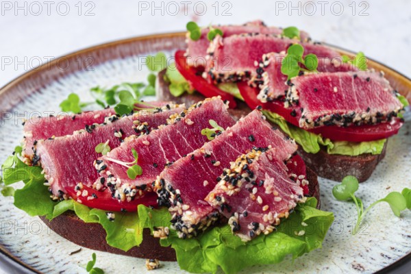 Sandwiches with fried tuna fillet in sesame seeds, breakfast, top view, homemade