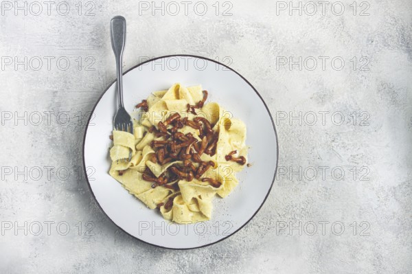Pasta papardelle, in creamy garlic sauce, with mushrooms, traditional Italian cuisine, pasta