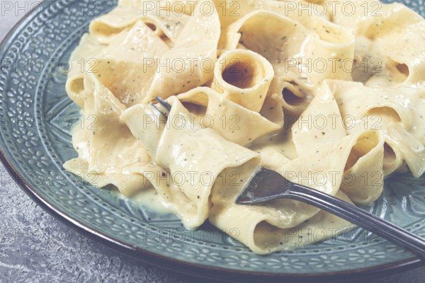 Pasta papardelle in creamy garlic sauce, traditional Italian cuisine, pasta carbonara, homemade, no
