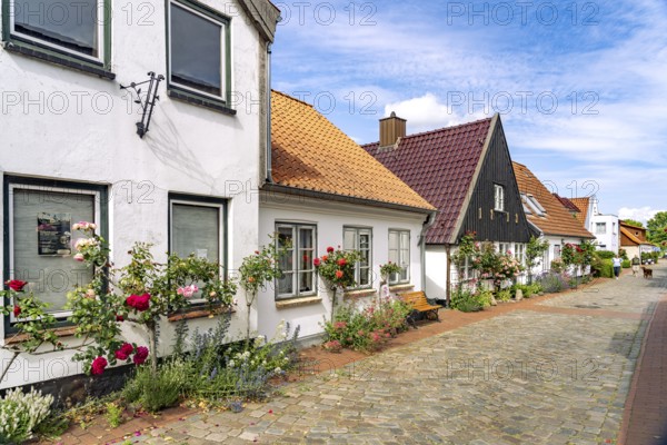 The historic fishing village of Holm, city of Schleswig, Schleswig-Holstein, Germany