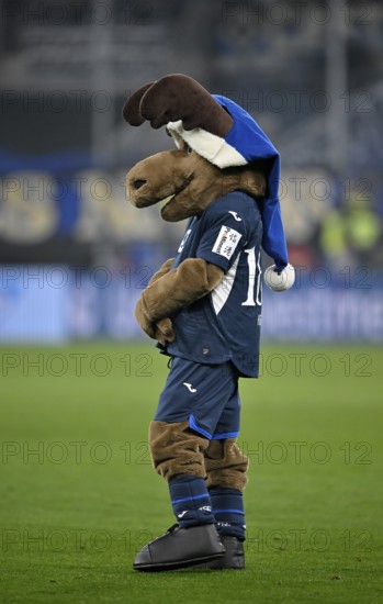 Mascot Hoffie TSG 1899 Hoffenheim in Christmas outfit with blue Christmas hat PreZero Arena,