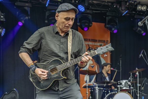Eight buckets of chicken hearts live at the Orange Blossom Special Festival, Beverungen, Germany