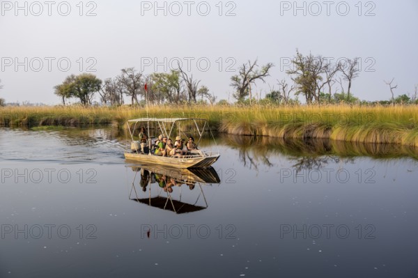 Safari by boat, tourist observing African elephant (Loxodonta africana) in the swamp, Xakanaxa