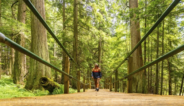 Tourist enjoying a sunny day walking on the hemlock grove boardwalk surrounded by lush green forest