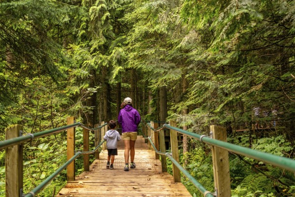 Mother and son walking along the hemlock grove boardwalk, soaking in the vibrant greenery of the