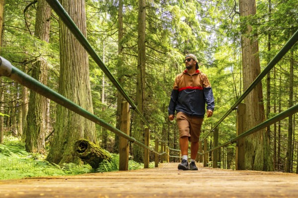 Male tourist in casual clothing and sunglasses walking along the hemlock grove boardwalk,