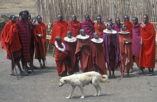 Maasai men and girls in their village, dog, Ngorongoro crater, Tanzania, Africa, June 2000,
