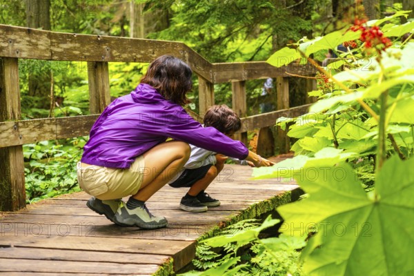 Mother and son crouching on wooden boardwalk trail, exploring nature and pointing at something
