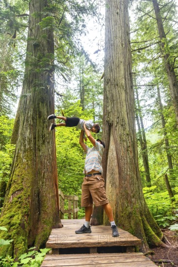 Father playfully lifting son high while exploring the giant cedars boardwalk trail in mount