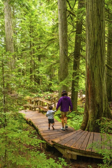Mother and son walking on a wooden boardwalk trail surrounded by lush green forest in the giant