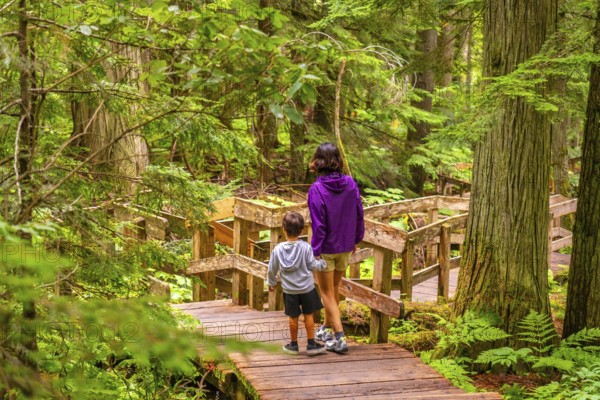 Two tourists holding hands while walking along a wooden boardwalk, surrounded by towering cedar