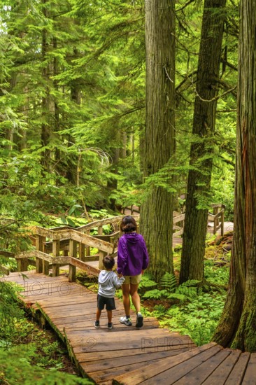Mother and son enjoying a leisurely walk along a wooden boardwalk, surrounded by towering trees and