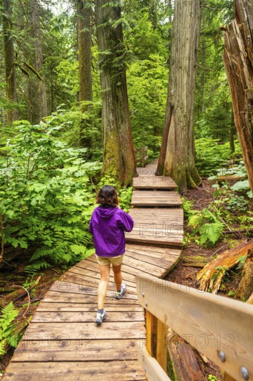 Tourist wearing a purple jacket is enjoying a peaceful walk along a wooden boardwalk path,