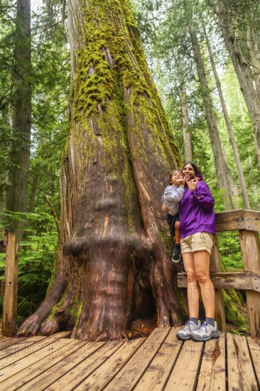 Mother and son are enjoying breathtaking view of giant cedar tree covered with moss while standing
