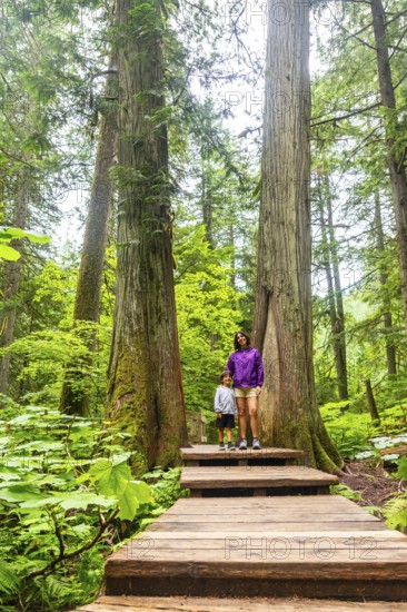 Mother and son enjoying a hike through a lush forest, standing on a wooden boardwalk amidst