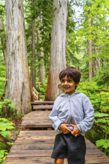 Happy child hiking along a boardwalk trail surrounded by giant cedar trees in mount revelstoke