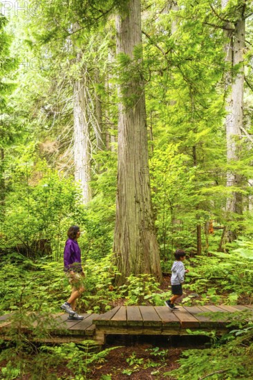 Mother and son enjoying a hike through lush green forest with giant cedar trees, exploring nature