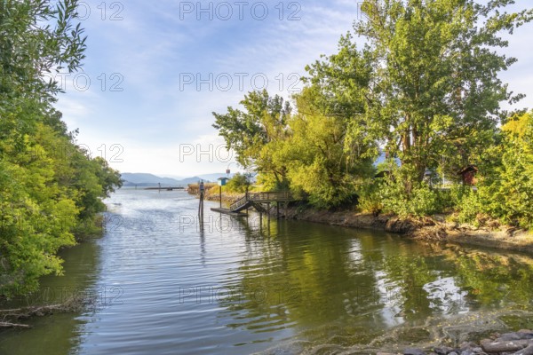 Tranquil morning view of a wooden pier extending into calm shuswap lake, surrounded by lush green