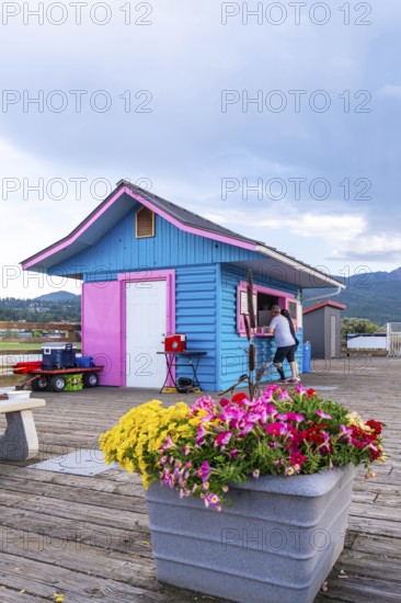Tourists buying refreshments at a vibrant kiosk on a wooden pier in salmon arm, british columbia,