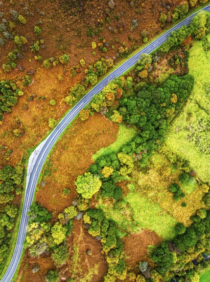 Top Down view of Autumn colours over River Wye and Road A470 from a drone, Llanidloes, Powys,