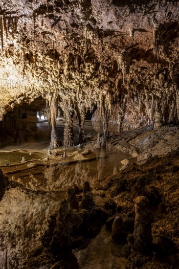 Stalactites and stalagmites, rock formations in a stalactite cave, Grotta del Fico, Gulf of Orosei,