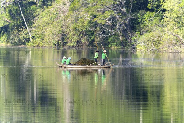 Women harvest seagrass, water channel in Angkor Thom, UNESCO World Heritage Site, Siem Reap,