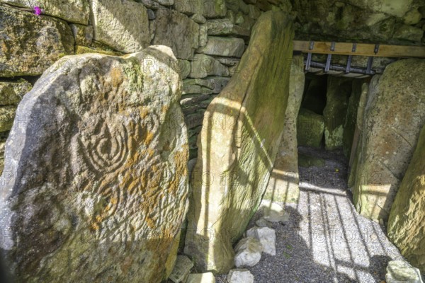 Entrance with decorated wall stone of Loughcrew Cairns a megalithic grave, Stonefield, County