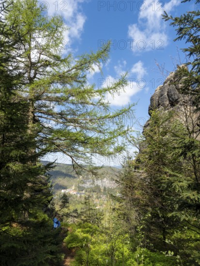 Rocks in the forest with a view of Oybin, Zittau Mountains, things, Germany