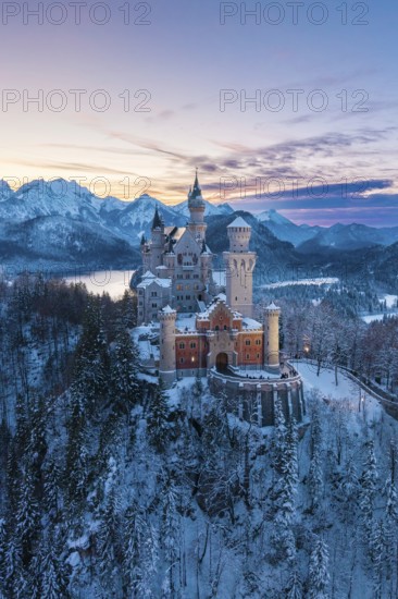 Neuschwanstein Castle in winter landscape at dusk with mountain backdrop, Schwangau near Füssen,