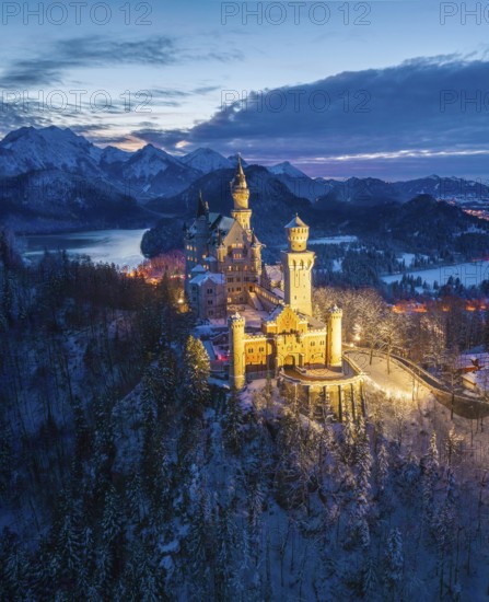 Illuminated Neuschwanstein Castle in winter in evening mood, night view, Schwangau near Füssen,