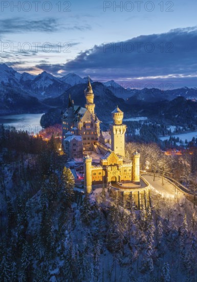 Illuminated Neuschwanstein Castle in a snowy mountain landscape at dusk, night view, Schwangau near