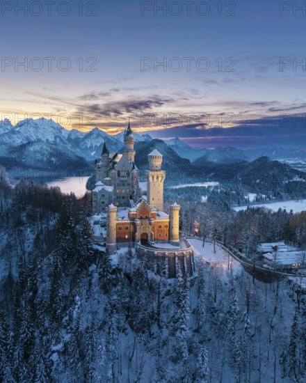 Snowy landscape around Neuschwanstein Castle in evening light, Schwangau near Füssen, Ostallgäu,