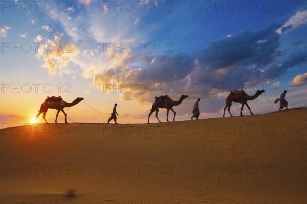Indian cameleers camel drivers bedouin with camel silhouettes in sand dunes of Thar desert on
