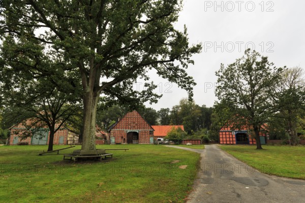 Rundling Museum, open-air museum in Rundlingsdorf Lübeln, Rundling settlement, Runddorf,