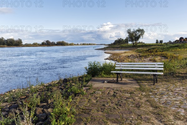Bench, banks of the Elbe, river landscape, Hitzacker, Lüchow-Dannenberg, Wendland, Elbe floodplain,