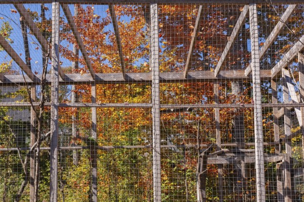 Large wood frame and wire mesh cage for caring and keeping birds in at an animal refuge, Quebec,